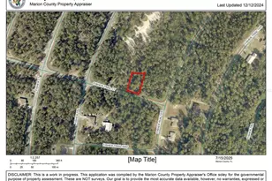 Tbd Fisher Trail Ct, Ocklawaha, FL 32179 - Photo 1