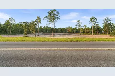Tbd SE 60th Street, Morriston, FL 32668 - Photo 1
