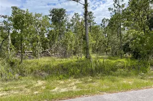 Lot 18 NW Geranium Ave, Dunnellon, FL 34431 - Photo 1