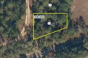 100 Connie Ave, Interlachen, FL 32148 - Photo 1