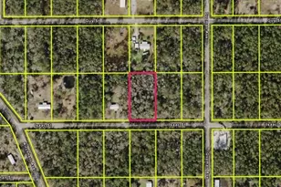 4320 Isaac St, Hastings, FL 32145 - Photo 1