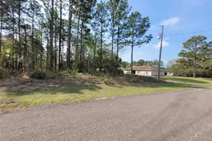 2190 W Tacoma Dr, Citrus Springs, FL 34434 - Photo 1