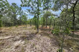 Lot 14 SW Indian Hill Dr, Dunnellon, FL 34431 - Photo 1