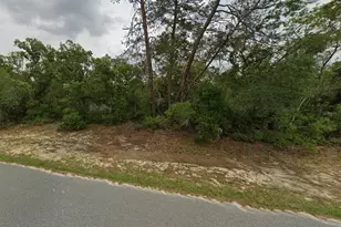 SW 40th Terrace, Ocala, FL 34473 - Photo 1