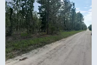 Tbd SE 4th Street, Williston, FL 32696 - Photo 1