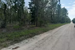 Tbd SE 4th St, Williston, FL 32696 - Photo 1