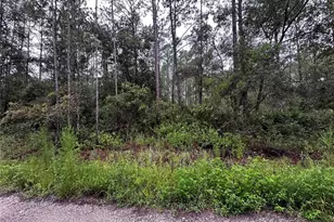 NE 66th Ave, Citra, FL 32113 - Photo 1