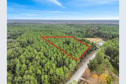 000 NE 130th Court Rd, Fort Mc Coy, FL 32134 - Photo 1