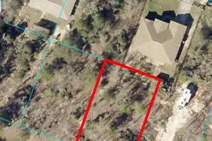 00 Malauka Dr, Ocklawaha, FL 32179 - Photo 1