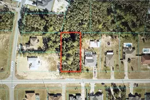 Tbd SW 100 St, Ocala, FL 34476 - Photo 1