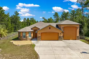 3 Bay Ln, Ocklawaha, FL 32179 - Photo 1