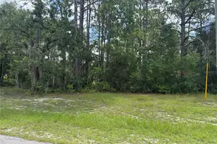 00 SW 81st Circle, Ocala, FL 34473 - Photo 1