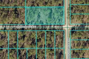 Lot 18 NW Buena Vista Rd, Dunnellon, FL 34431 - Photo 1