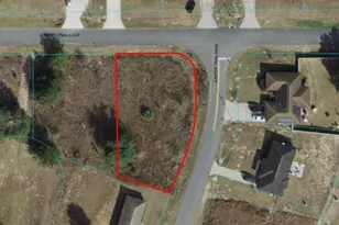 56 Juniper Trail Loop, Ocala, FL 34480 - Photo 1