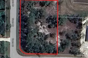 Lots 10 & 11 Taplin Ave, North Port, FL 34291 - Photo 1