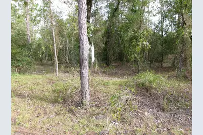 Lot 8 SW Nautilus Boulevard, Dunnellon, FL 34431 - Photo 1