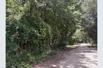 Tbd NW 172nd Place, Reddick, FL 32686 - Photo 1
