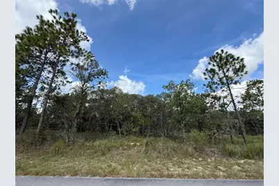 Tbd SW Temple Heights Court, Dunnellon, FL 34431 - Photo 1