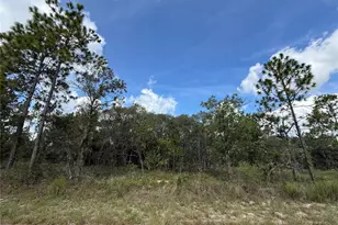 Tbd SW Temple Heights Ct, Dunnellon, FL 34431 - Photo 1