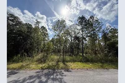 Tbd SW Temple Heights Court, Dunnellon, FL 34431 - Photo 1