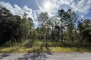 Tbd SW Temple Heights Ct, Dunnellon, FL 34431 - Photo 1