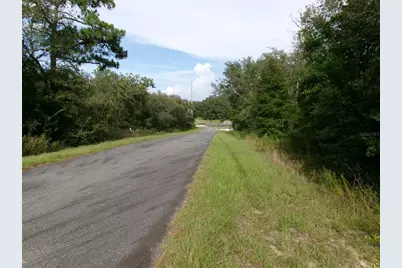 Lot 3 SW Nectarine Lane, Dunnellon, FL 34431 - Photo 1