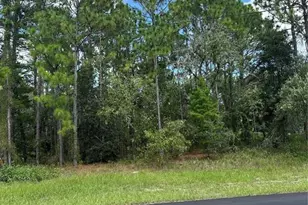 116 Corkwood, Homosassa, FL 34446 - Photo 1