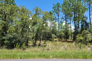 SW Beach Blvd, Dunnellon, FL 34431 - Photo 1