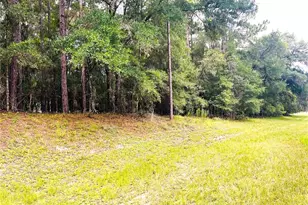 0000 SW 185 Ave Road Rd, Dunnellon, FL 34432 - Photo 1