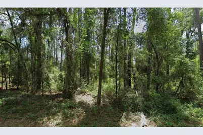 1032 Vercelli Lane, Citrus Springs, FL 34434 - Photo 1