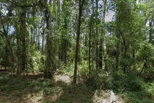 1032 Vercelli Ln, Citrus Springs, FL 34434 - Photo 1