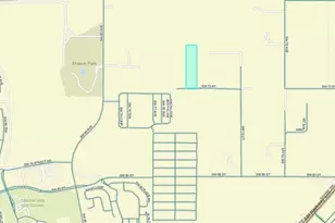 Tbd SW 73rd St, Ocala, FL 34476 - Photo 1