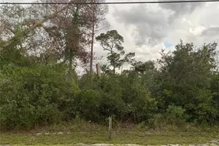 10128 Noddy Tern Rd, Weeki Wachee, FL 34613 - Photo 1