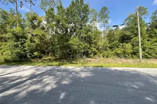 00 SW Admiral Landing Dr, Dunnellon, FL 34431 - Photo 1