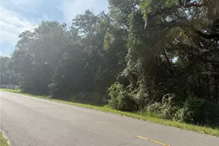 Tbd SW 155th St SW, Dunnellon, FL 34432 - Photo 1