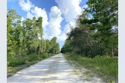 00 NE 139th Avenue, Williston, FL 32696 - Photo 1