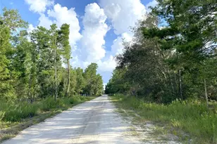 00 NE 139th Ave, Williston, FL 32696 - Photo 1