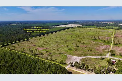 Sw County Road 249, Jasper, FL 32052 - Photo 1