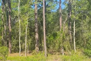 0 NW Redwood Rd, Dunnellon, FL 34431 - Photo 1