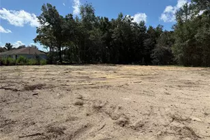13506 SW 106th St, Dunnellon, FL 34432 - Photo 1