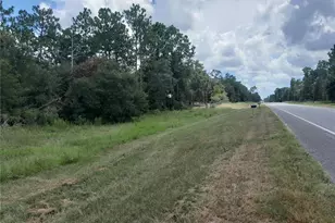 Tbd SE State Road 121, Morriston, FL 32668 - Photo 1