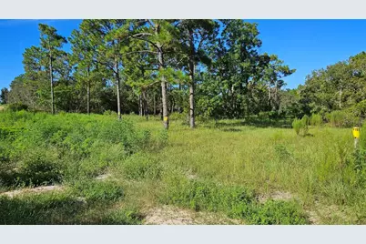 5462 S Clara Point, Homosassa, FL 34446 - Photo 1