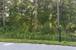 Tbd NW 60th Terrace, Ocala, FL 34482 - Photo 1