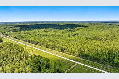 Tbd NE 125th Ave, Fort Mc Coy, FL 32134 - Photo 1