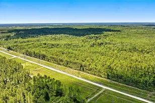 Tbd NE 125th Ave, Fort Mc Coy, FL 32134 - Photo 1