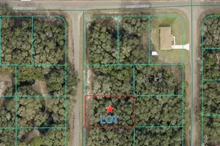 Tbd Fisher Ln Ct, Ocklawaha, FL 32179 - Photo 1