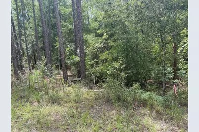 00 SW 87th Loop, Dunnellon, FL 34431 - Photo 1