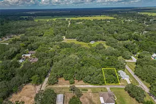 Tbd SW 134th Terrace, Dunnellon, FL 34432 - Photo 1