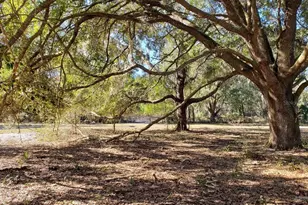 13 12Ac NE Hwy 315, Fort Mc Coy, FL 32134 - Photo 1
