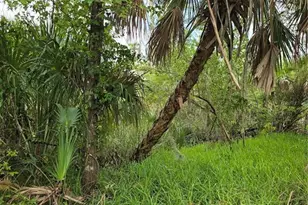 10894 W Larchwood St, Homosassa, FL 34448 - Photo 1